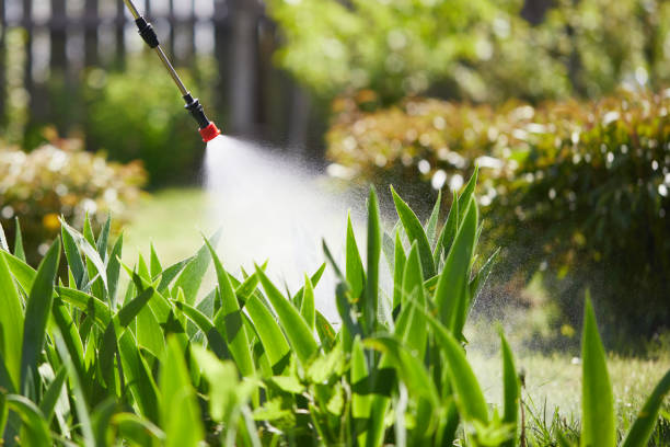 24/7 Emergency Wasp Removal experts in Buford, GA
